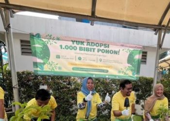 Seperti Ketapang Kencana, Tabebuya, DLL. 1.000 Bibit Pohon Dibagikan PGNCOM Untuk Jaga Lingkungan Hidup Dan Peringatan Hari Sumpah Pemuda