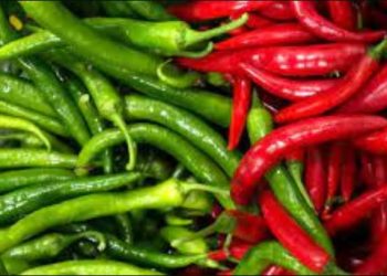 Pemkab Situbondo Minta Kiriman Dari Daerah Lain Guna Stabilkan Harga Cabai