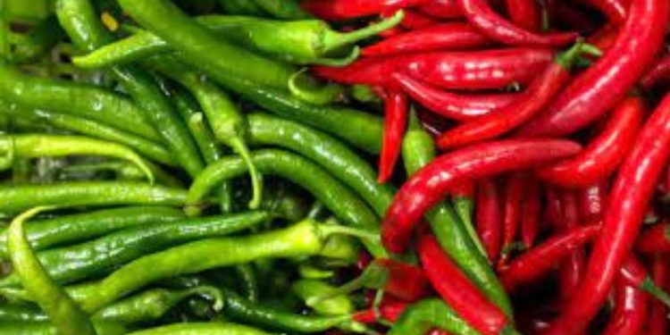 Pemkab Situbondo Minta Kiriman Dari Daerah Lain Guna Stabilkan Harga Cabai