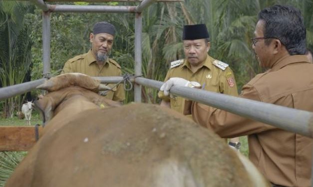 Pemkab Agam Menyerahkan 13.433 Ekor Ternak Kepada 37 Kelompok Tani