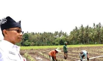 Pemkab Banyuwagi Soroti Ketersediaan Air, Kata Bupati: Dam Karangdoro Biasanya 8000L Tapi Sekarang Tinggal 4.000 Liter/detik