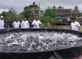 Dinas Kelautan Dan Perikanan Bantul, Menargetkan Produksi Perikanan Baik Ikan Tangkap Laut Maupun Ikan Budi Daya Sebanyak 13.800 ton Tahun 2023