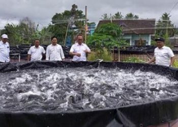 Dinas Kelautan Dan Perikanan Bantul, Menargetkan Produksi Perikanan Baik Ikan Tangkap Laut Maupun Ikan Budi Daya Sebanyak 13.800 ton Tahun 2023