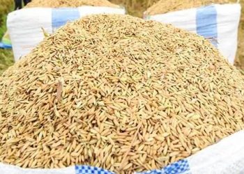 Catatan BPS Di Provinsi Gorontalo Berdasarkan Survei KSA Naik 1,27 Persen Dibandingkan 2022