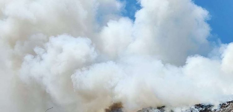 Wali Kota Denpasar Secara Resmi Menetapkan Status Darurat Bencana Kebakaran Di TPA Suwung Denpasar Berakhir