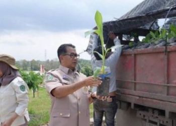 Pj Gubernur Kaltim: Kami Sudah Siapkan Hingga 120 Ribu Benih Non-Buah Ke Kutai Timur Permintaan Dari Luar Negeri Pun Cukup Banyak