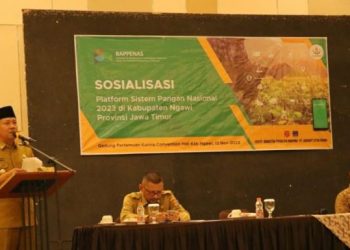Data Dinas Pertanian Tahun 2023 Sebesar 797,01 ribu ton Gabah Kering Giling (GKG) Dihasilkan di Kabupaten Ngawi, Ngawi kini ditunjuk menjadi Daerah percontohan sistem pangan Nasional 2023