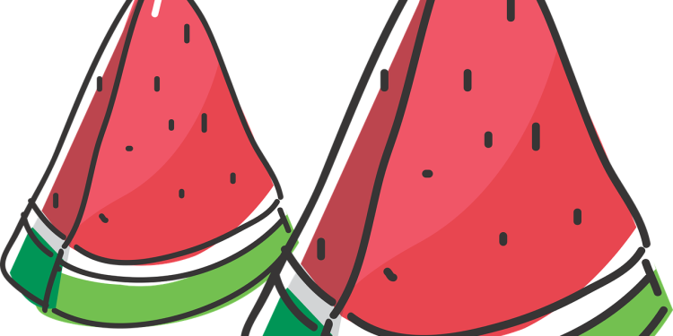 Mahasiswa Unpatti Bersama Aliansi Rakyat Ambon LeLang Semangka Sebagai Bentuk Dukungan Palestina