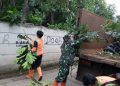 Koramil Kramatjati Laksanakan Karya Bhakti untuk Cegah Pohon Tumbang di Kelurahan Dukuh