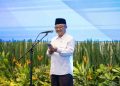 Pemerintah Luncurkan Kebijakan Penyaluran Tunjangan Guru ASN Daerah Langsung Ke Rekening Guru