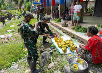 Dari Ladang ke Meja, Satgas TNI Serap Hasil Tani Warga Beoga