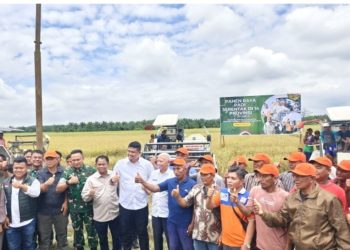 Komitmen Kuatkan Swasembada Pangan, Danlanud Soewondo Turut Serta Panen Raya Padi Serentak