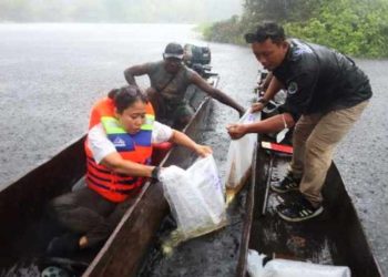 KKP Lepas 234 Ekor Arwana Irian di Taman Nasional Wasur Merauke
