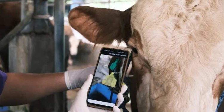 Jelang Iduladha, DKP3 Depok Imbau Warga Tak Asal Pilih Hewan Kurban: Cek Izin dan Dokumen Resminya!