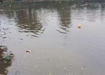 Hadiah Pahit HUT ke-26 Depok: Situ Bahar Cilodong Disulap Jadi TPA Liar