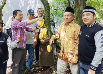 Acara Panen Raya Belimbing yang digelar di Kecamatan Cimanggis, Minggu (11/5/2025)