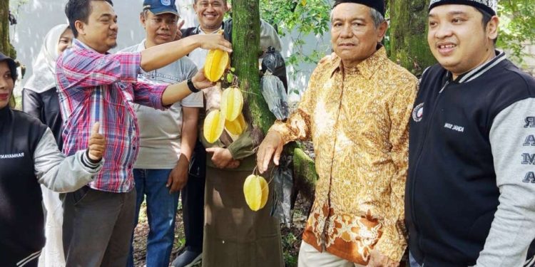 Panen Raya Belimbing Cimanggis 2025: Wujud Cinta Petani pada Alam dan Ketahanan Pangan Lokal