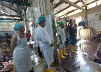 Tinjau RPH Tapos, Wali Kota Depok Dorong Perbaikan Layanan Kurban