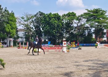 Bibit Muda Berkuda Indonesia Lahir dari HUT TNI: Target SEA Games 2025