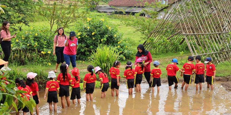 Program Desa Berdaya PLN Antar Desa Wisata Lerep Masuk Nominasi 30 Besar Pokdarwis Nasional