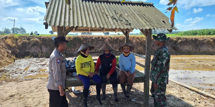 TMMD di Winong: Sertu Susilo dan Aiptu Darlan Bangun Kedekatan, Warga Merasa Dilayani dan Dilindungi