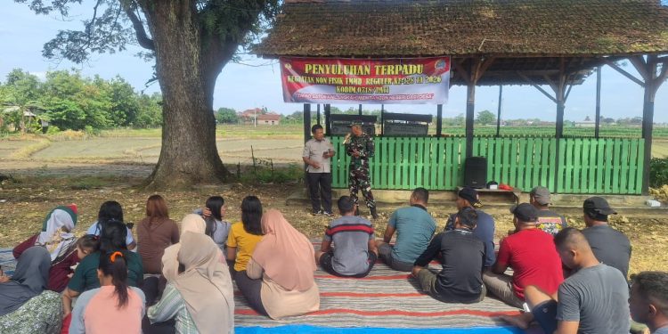 Dari Lahan ke Hasil, TMMD Bekali Petani Ilmu Pengelolaan Pertanian