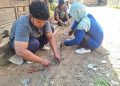Kekompakan Anggota Satgas TMMD Merangkai Batangan Besi untuk Pembangunan Infrastruktur di Wilayah Sasaran