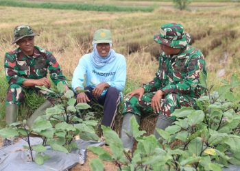 Komsos di Lahan Pertanian, Hangatnya Kebersamaan Satgas TMMD dan Petani di Desa Godo, Hangatnya Kebersamaan Satgas TMMD dan Petani di Desa Godo